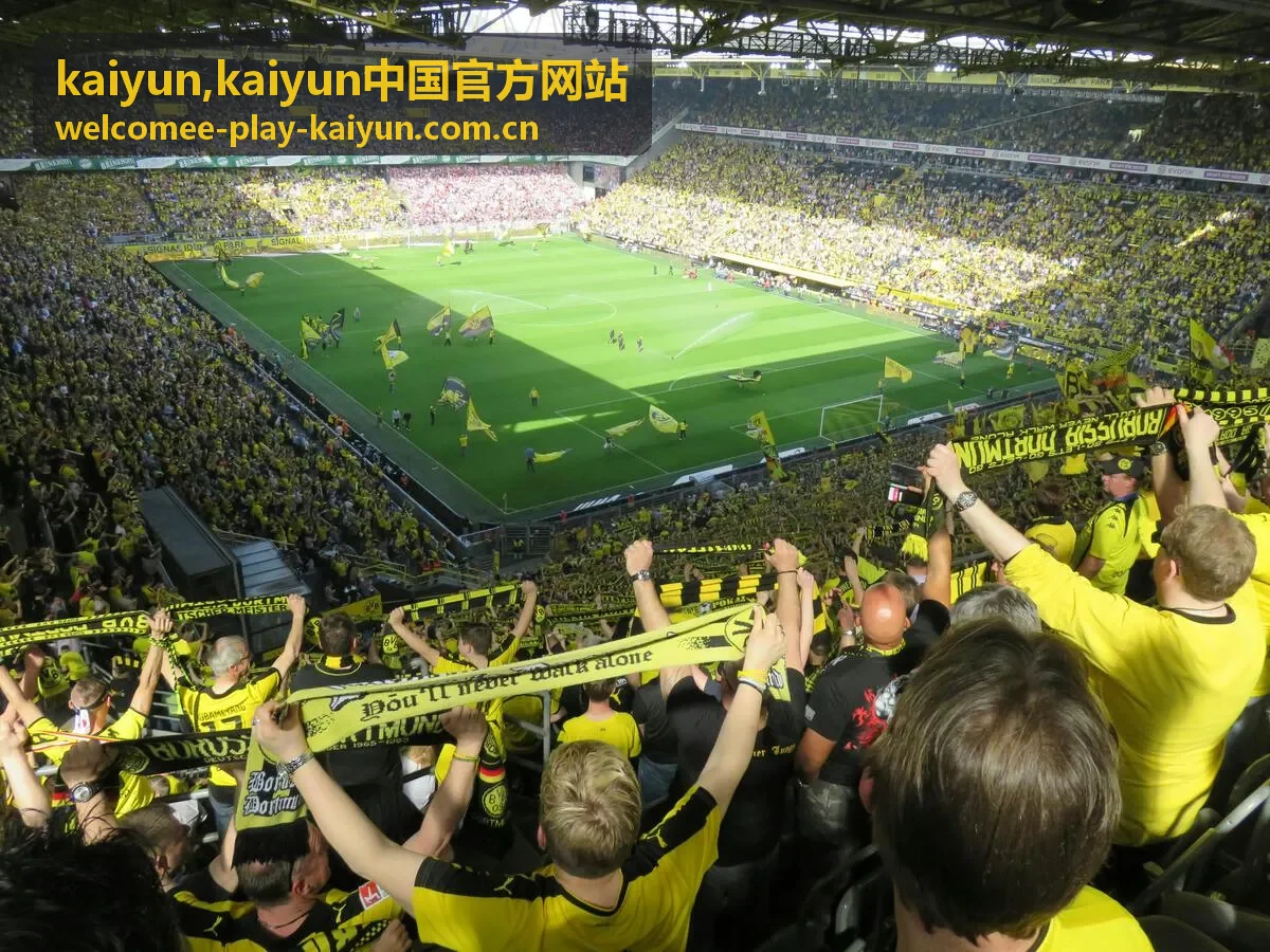 kaiyun品牌内容中心访问入口